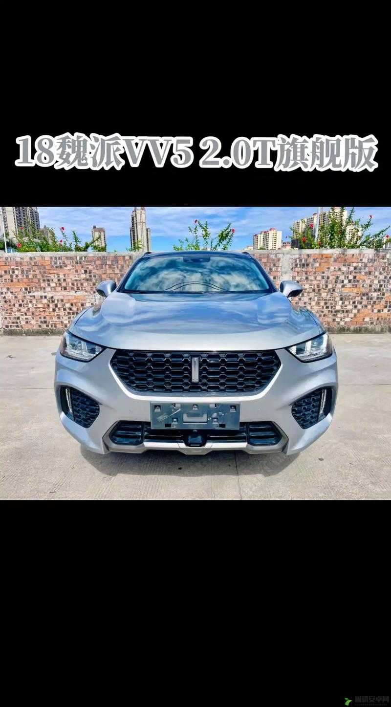 国产 SUV 翘楚 WEY VV5 引领时尚与性能潮流